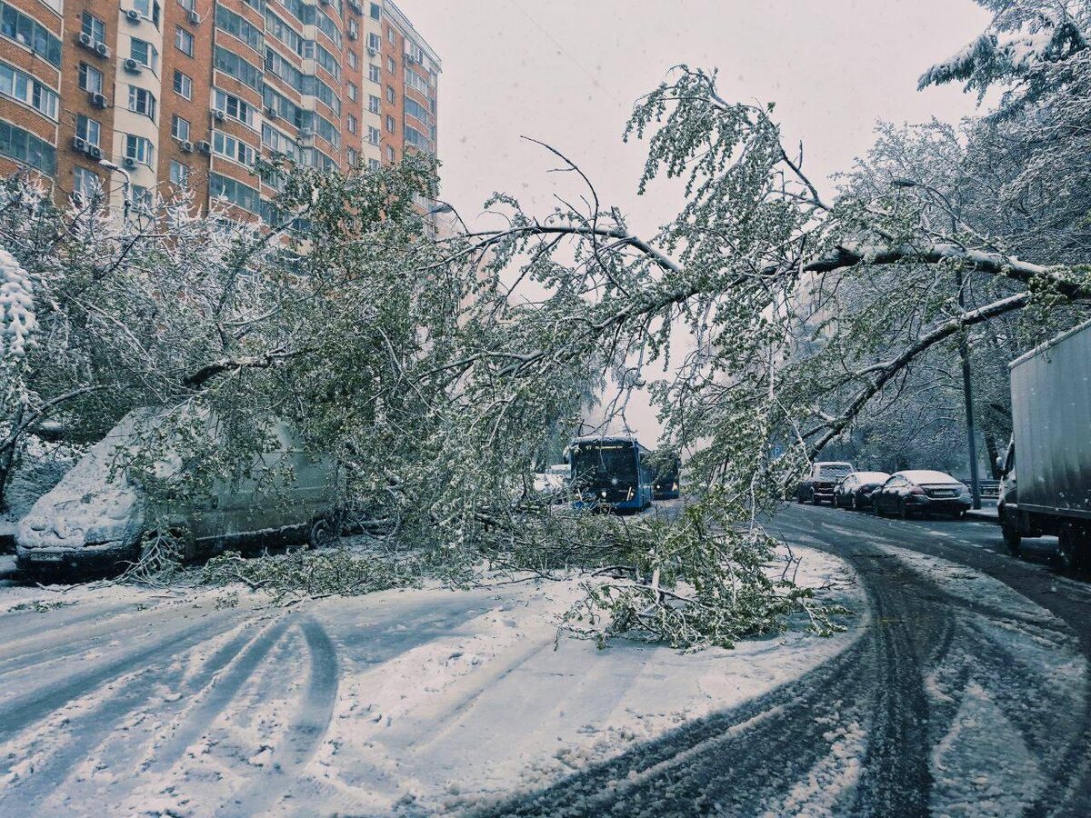 Можно ли получить компенсацию ущерба?