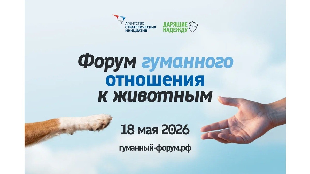    Диалог между экспертами — основа для поиска решений