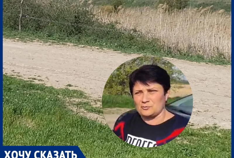«Скотовод взял нас в электроплен!»: крик души жителей хутора Ильинова, который теперь охраняет электропастух