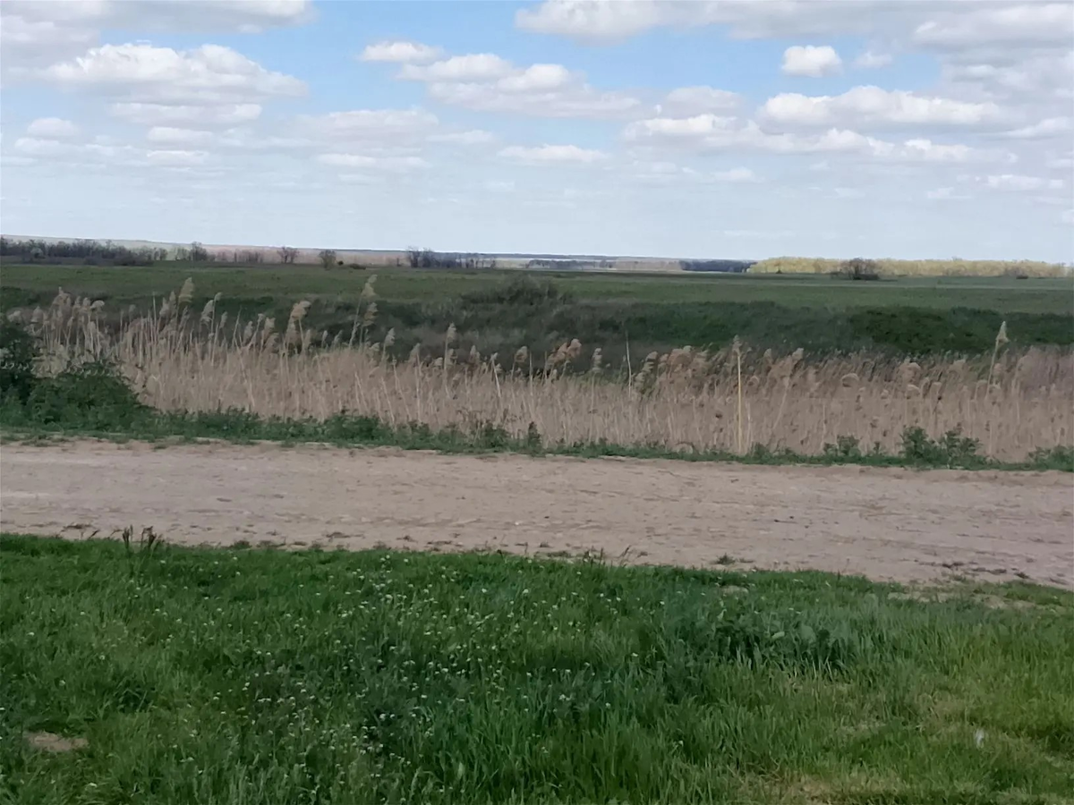 Вдоль грунтовой дороги натянут электропастух