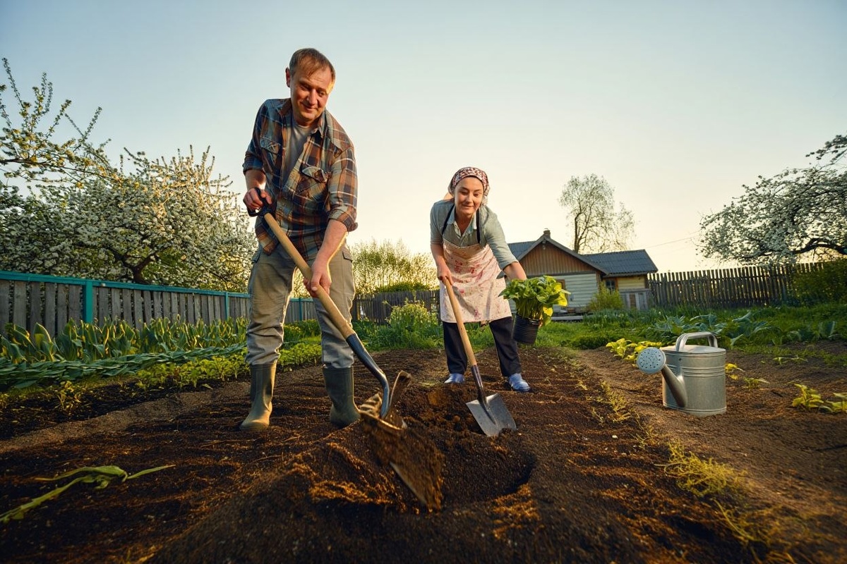 Фото: нейросеть Reve