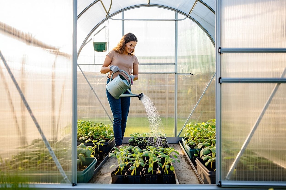 Фото: нейросеть Reve