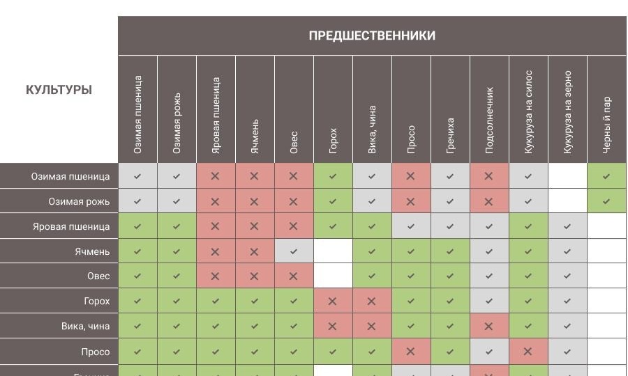 Как составить план посадок: понятный гид для дачников и огородников