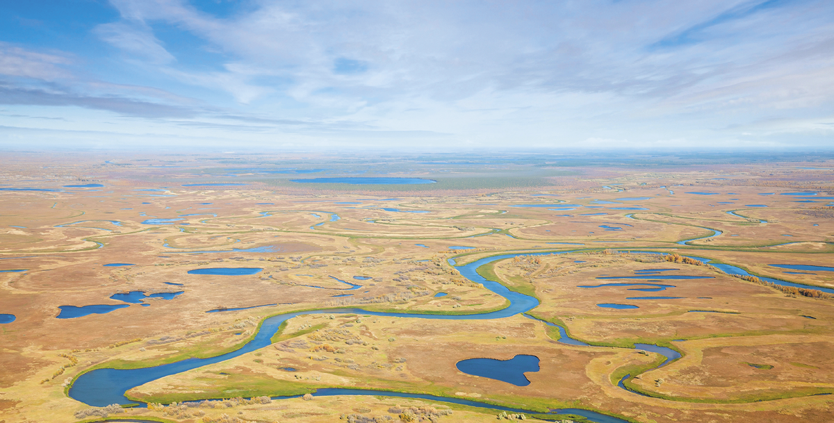    Источник: Vartpilot / depositphotos.com