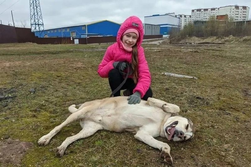 -2
