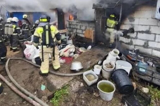    200 собак заживо сгорели в Нижнем Новгороде: что известно?