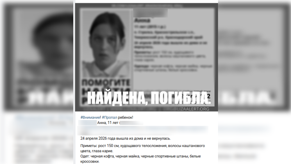 Скриншот: vk.com/lizaalert_krasnodarskij_kraj