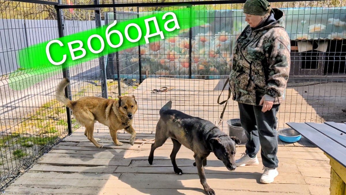 Филя и Маша 