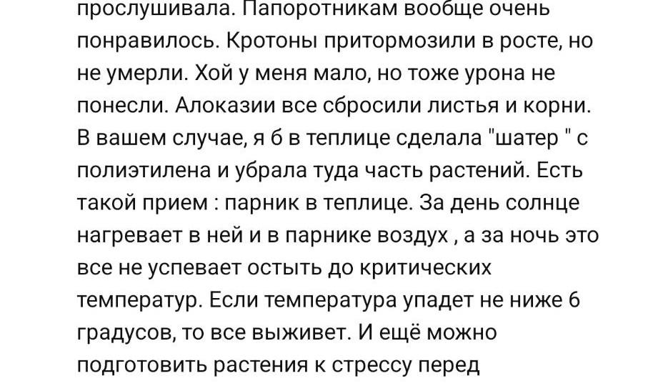 Ещё один комментарий, теперь от опытного цветовода