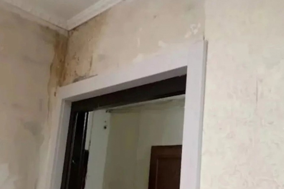    Фото: СКР