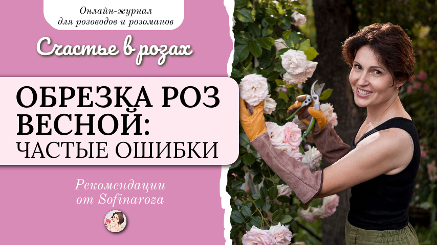 "Счастье в розах", выпуск №51, 30 апреля 2026 г.