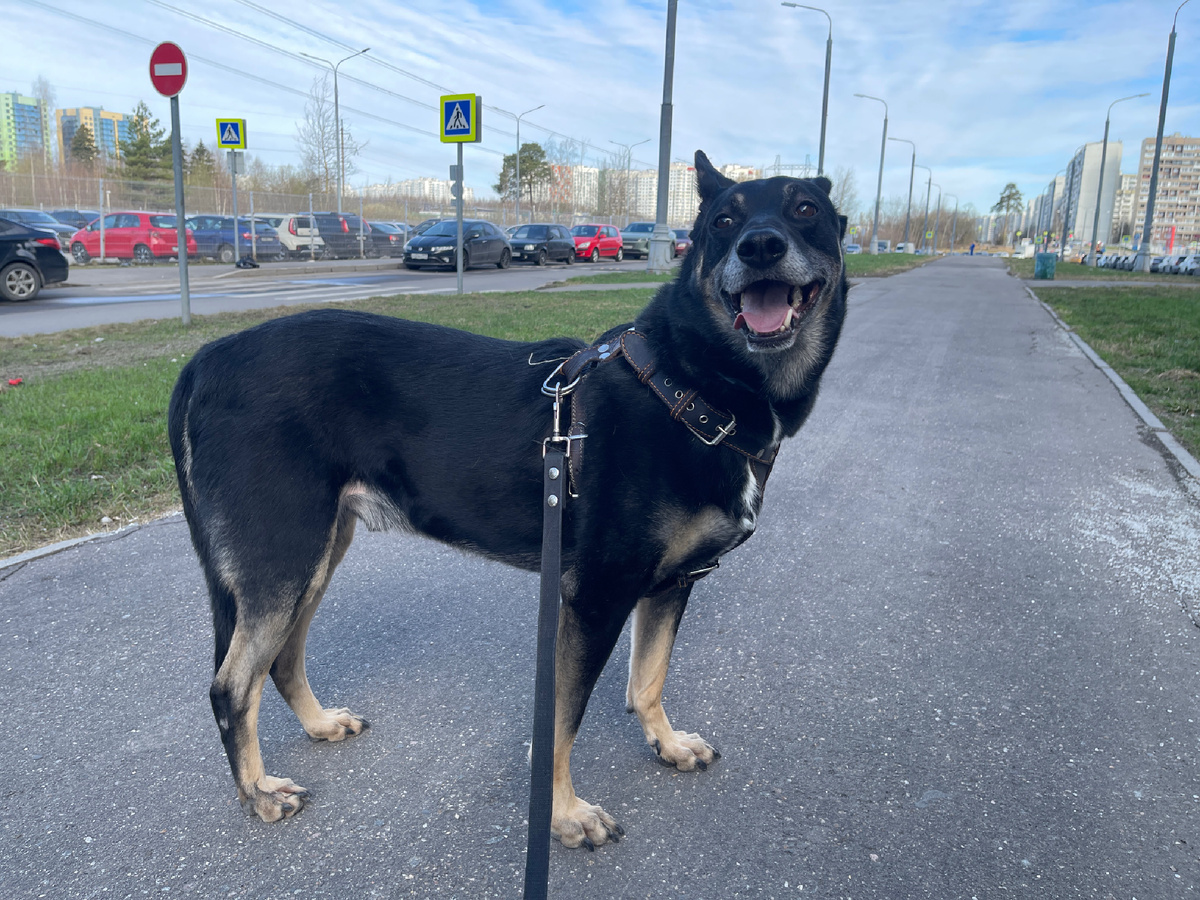 И я буду рад, если еще и лайк поставите, и подпишитесь на меня 😁!