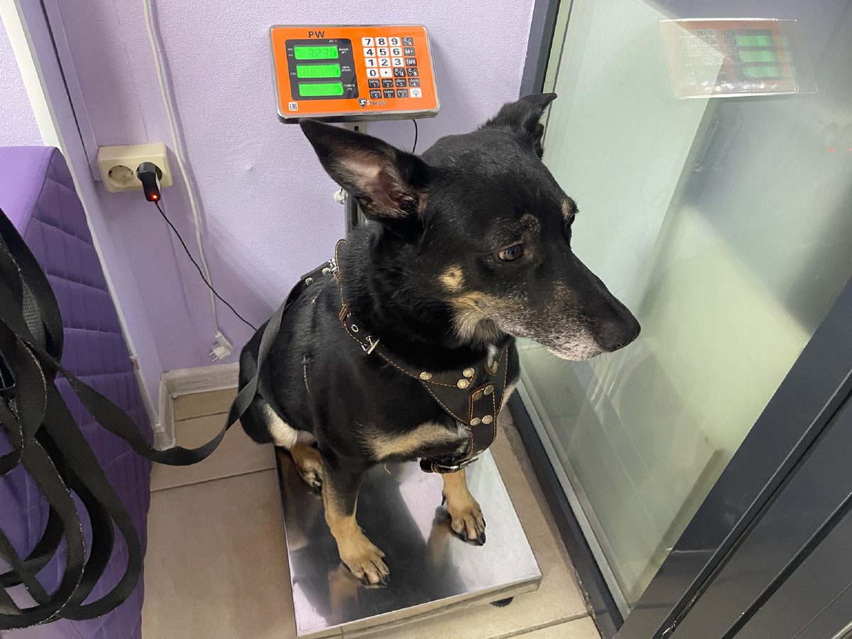 Ну, не прям чтоб на них. Я сижу на них 😂!