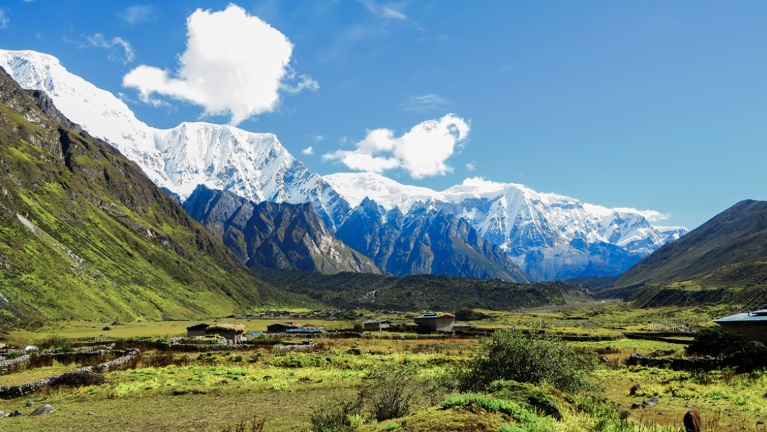 Гималаи Бутана, где обитают снежные барсы. (с) Bhutan Foundation