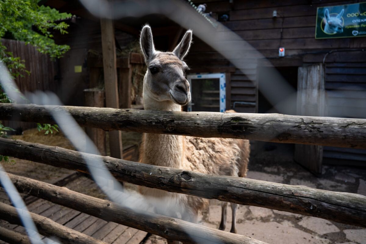 Фото: Александр Плонский / "Агроэксперт"