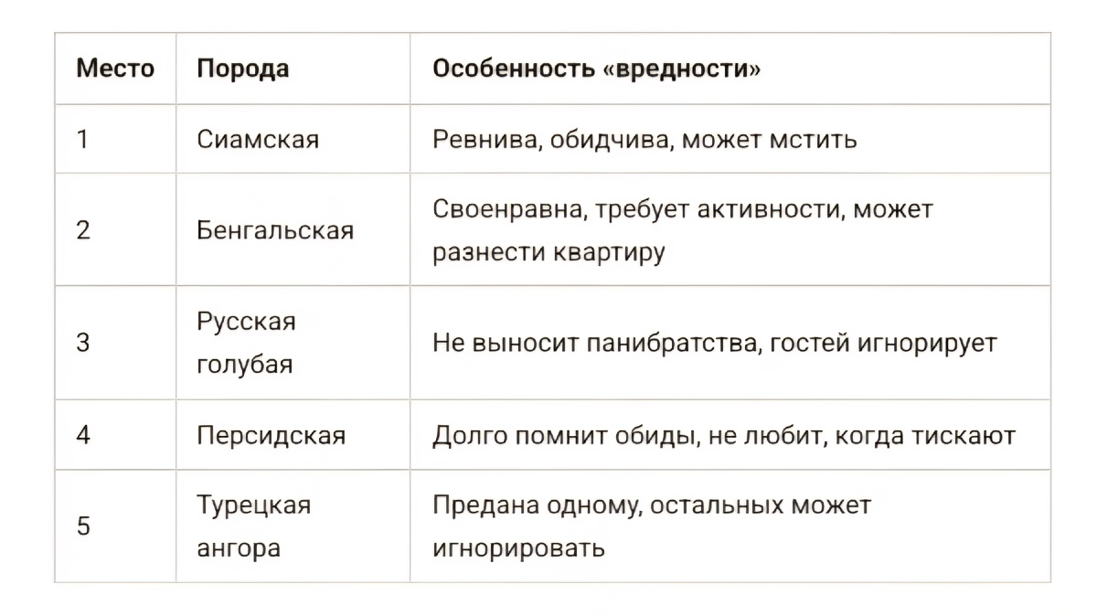 > Самые вредные и своенравные породы кошек: топ-5, которые сами знают, когда вас любить. Сиамская, бенгальская, русская голубая, персидская, турецкая ангора. С юмором о характерах. Читайте в блоге «Жизнь с лапками» 🐱😼