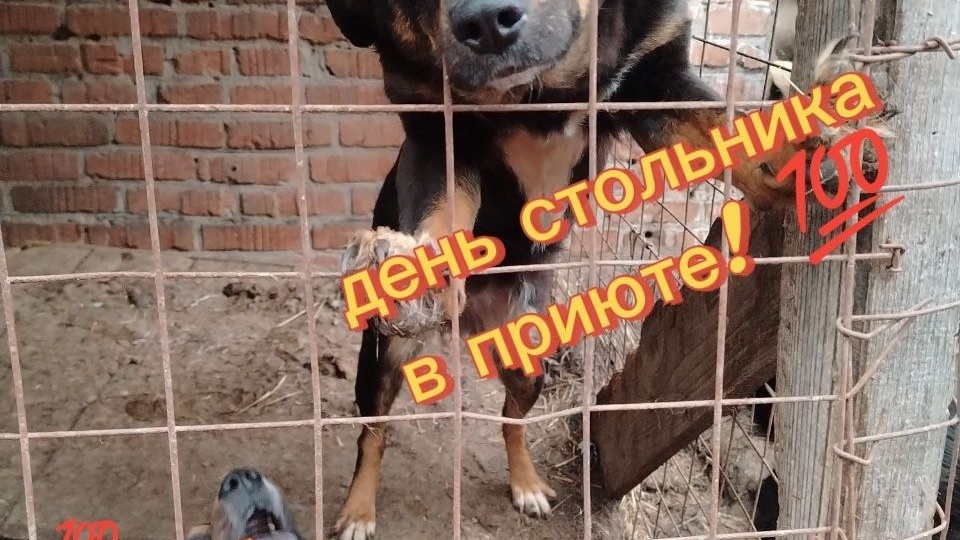 День и ночь 💯🙏❤