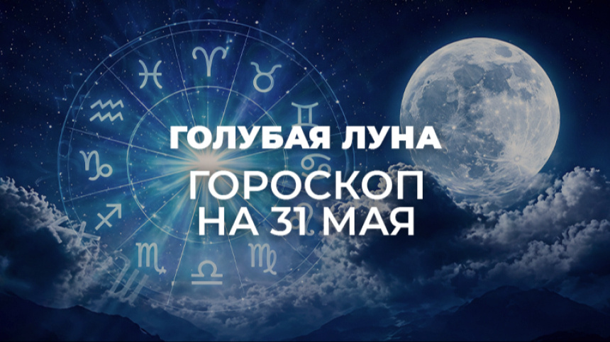    Фото: 5-tv.ru