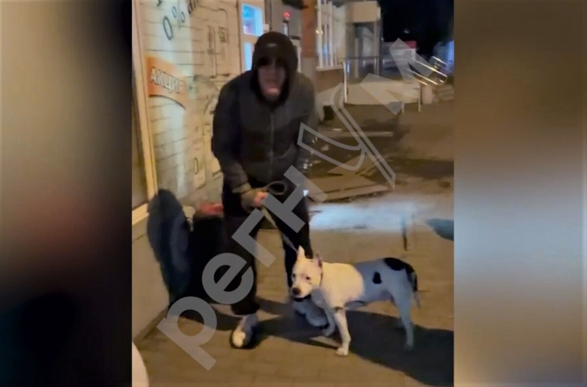     / Источник: Кадр из видео