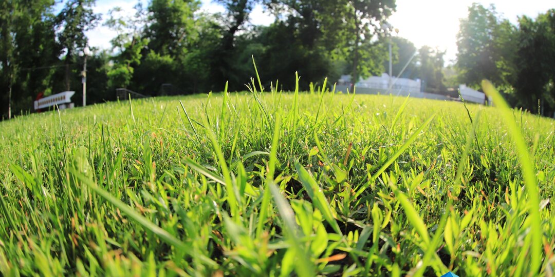 Донской инфекционист рассказал, как определить заразный укус клеща на глазок