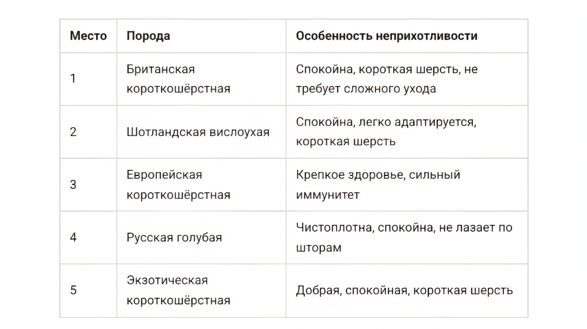  Самые неприхотливые породы кошек для новичков: топ-5, которые простят вам ошибки. Британская, шотландская, европейская, русская голубая, экзот. Для кого подходят и как за ними ухаживать. Читайте в блоге «Жизнь с лапками» 🐱🏠