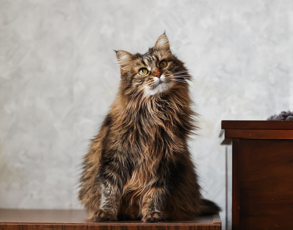 Всё жду того, кто меня заметит и позовёт с собой