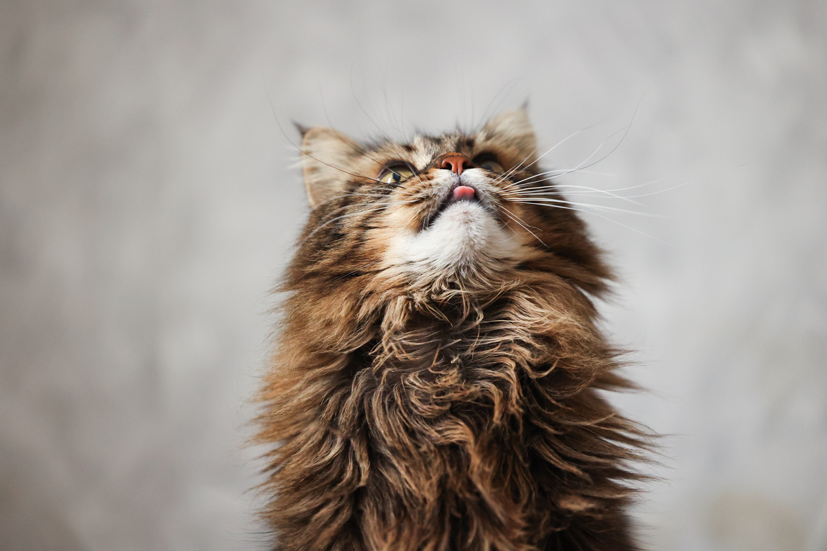 Мне позвонили...