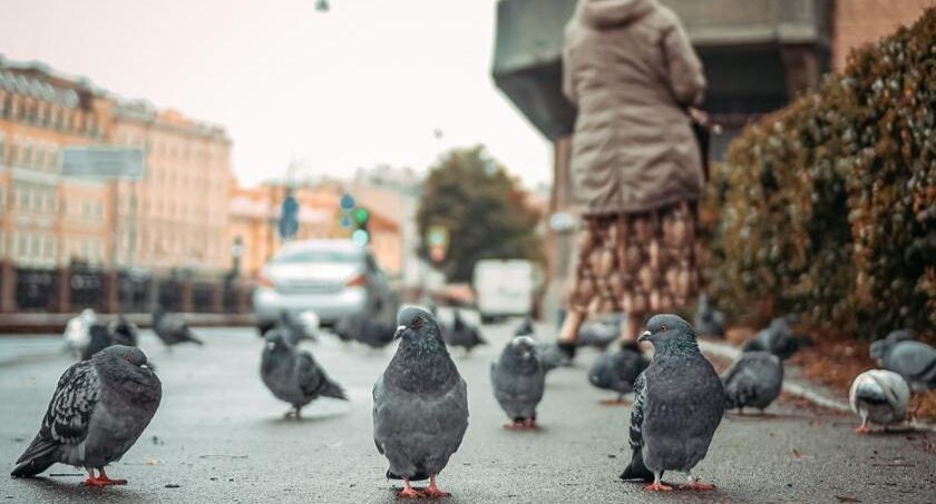    Дмитрий Пресняков / Фотобанк Лори