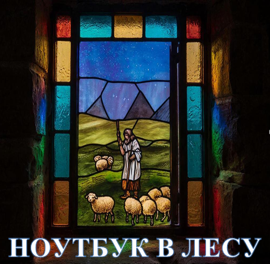 Джон Элиас о "Ноутбуке в лесу"