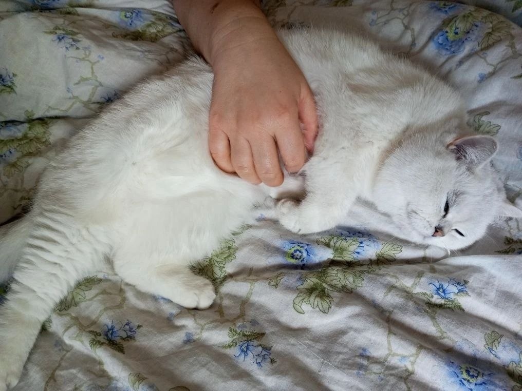 Вот вам из свеженького