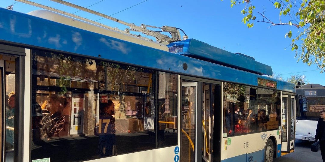 Эксперт Морозов объяснил, почему троллейбусы эффективнее электробусов для Ростова