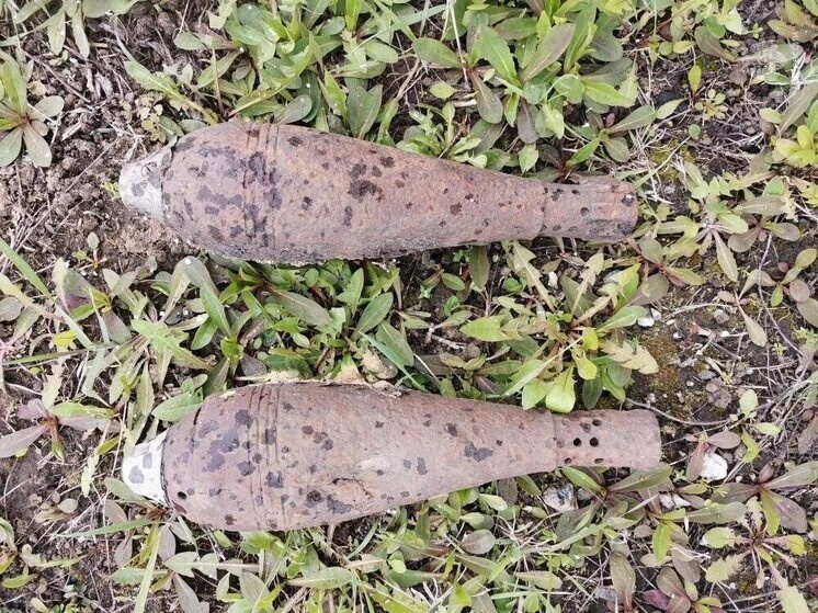     В Белгородском округе из села Новая Деревня вывезли две мины прошлого века, фото: пресс-служба ГУ МЧС по Белгородской области