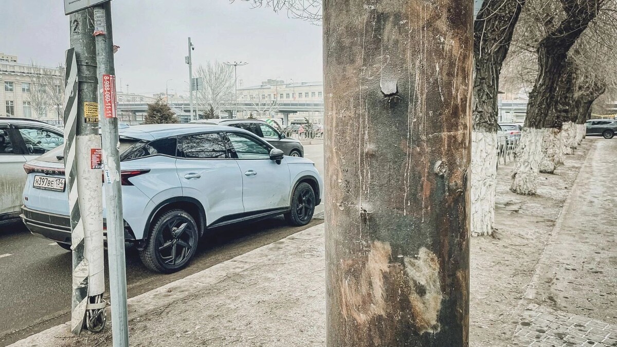    В Волгограде сохранились пережившие Сталинградскую битву электрические столбы   novostivolgograda.ru