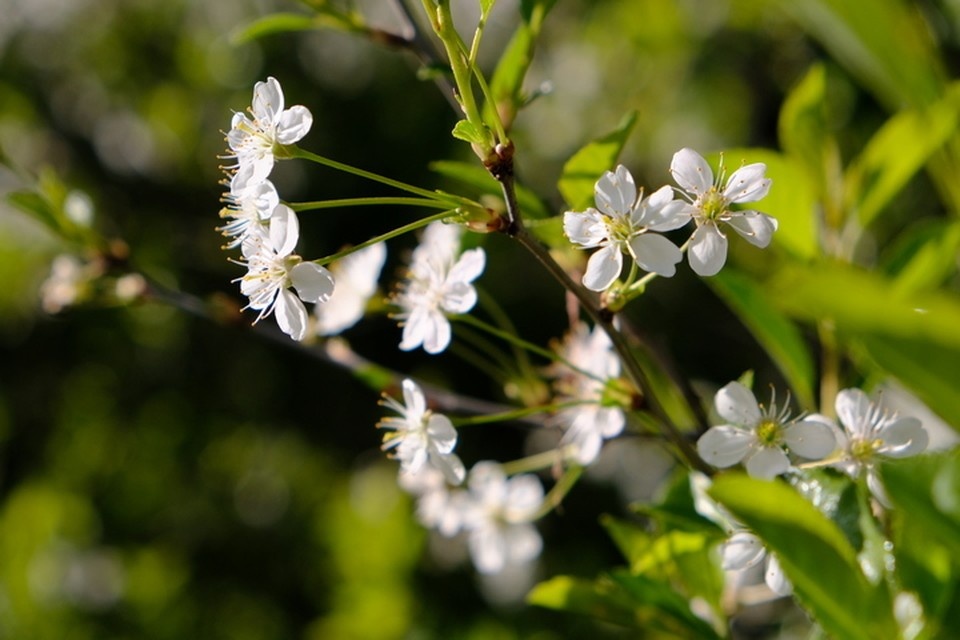    Хорошего дня! Алена Селезнева