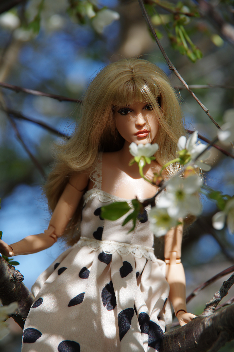 Barbie Стив Никс. Фото автора