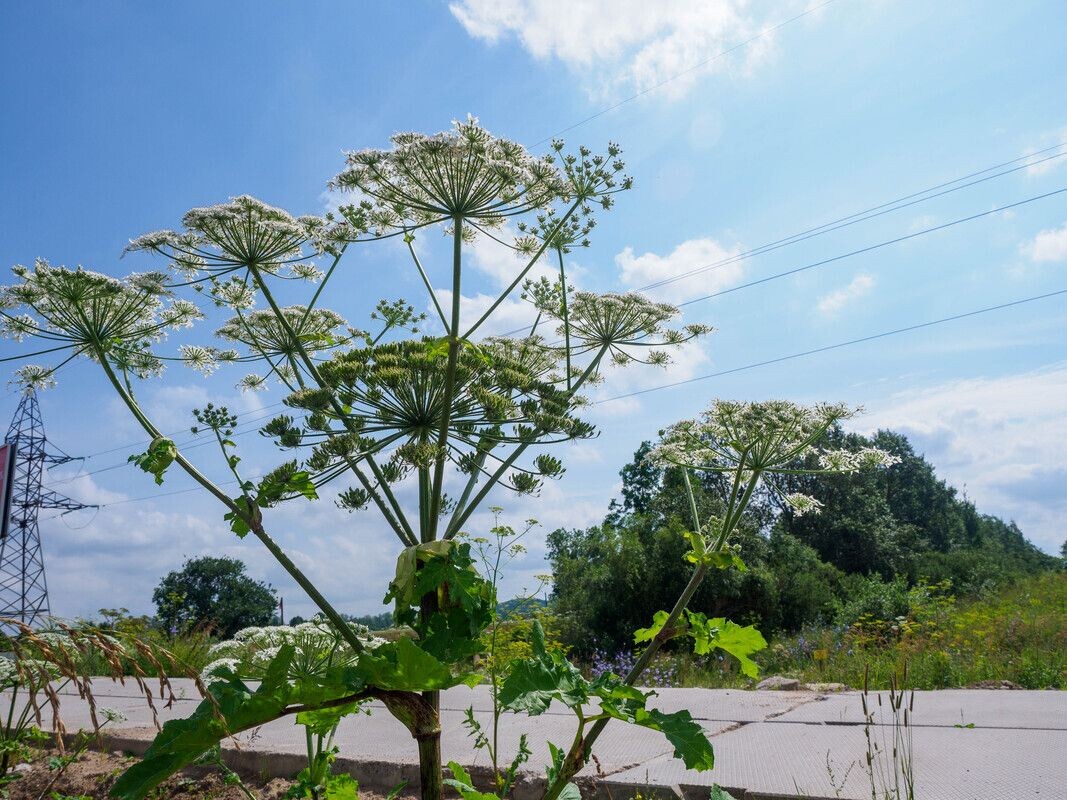     / Источник: © Валентин Антонов/ТАСС