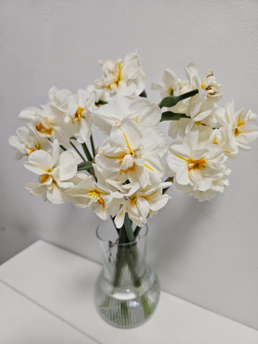 Нарциссовый букет