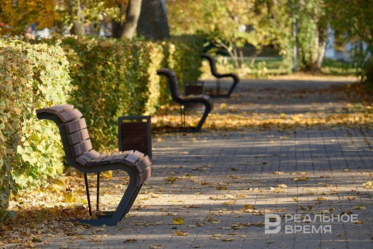   Динар Фатыхов / realnoevremya.ru