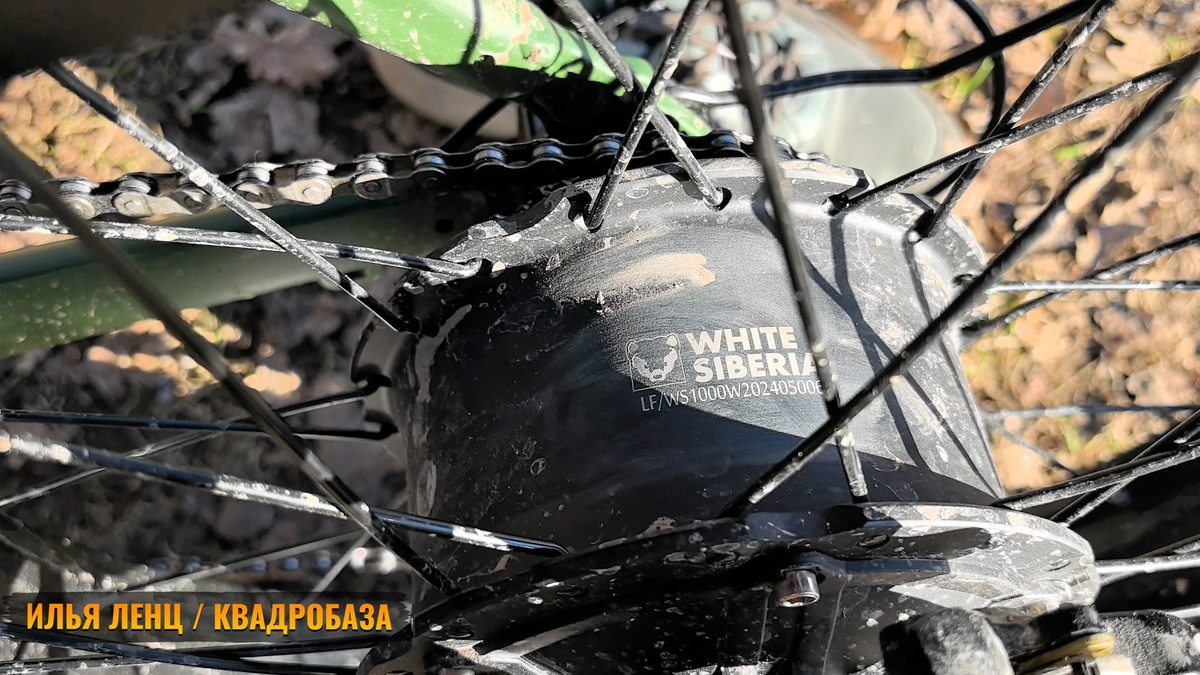 White Siberia Slav Pro