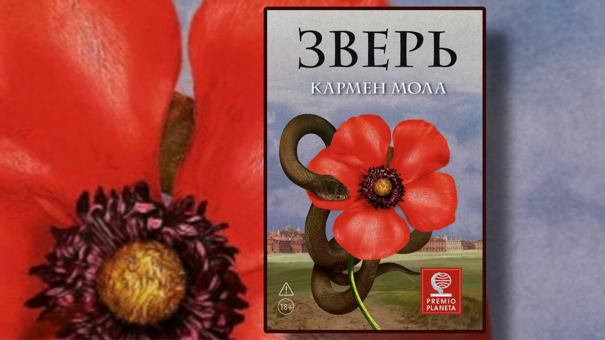 Коллаж автора канала
