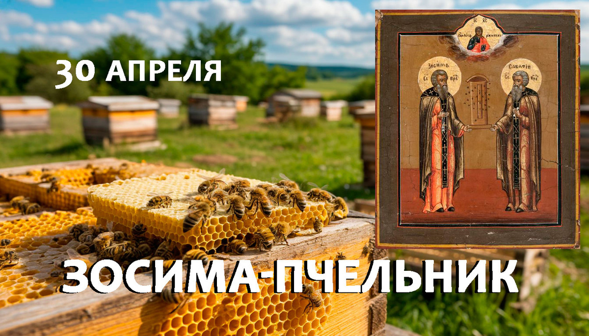 свобод.источник