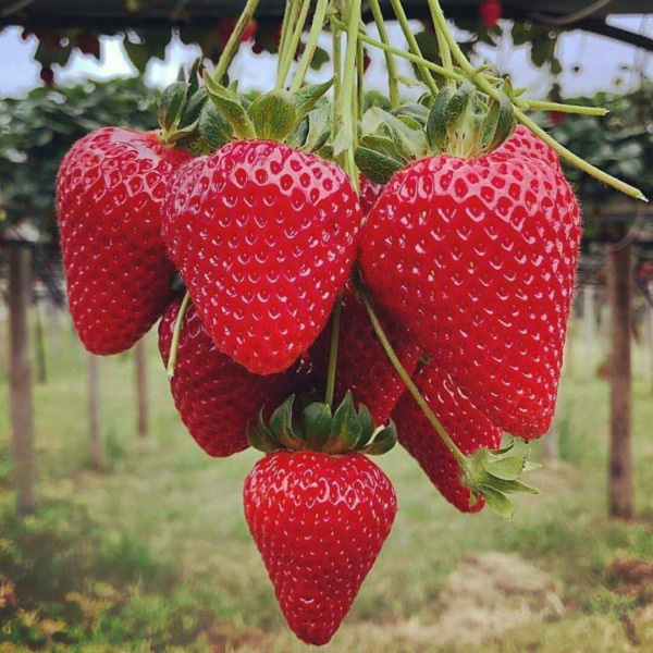   📷
