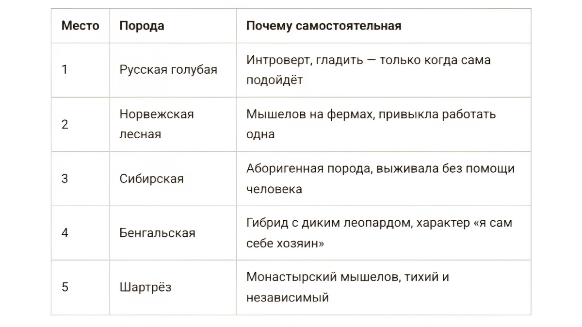 Самые самостоятельные породы кошек: топ-5, которым вы не особо и нужны. Русская голубая, норвежская лесная, сибирская, бенгальская, шартрёз. Для тех, кто ценит личное пространство. Читайте в блоге «Жизнь с лапками» 🐱🧘