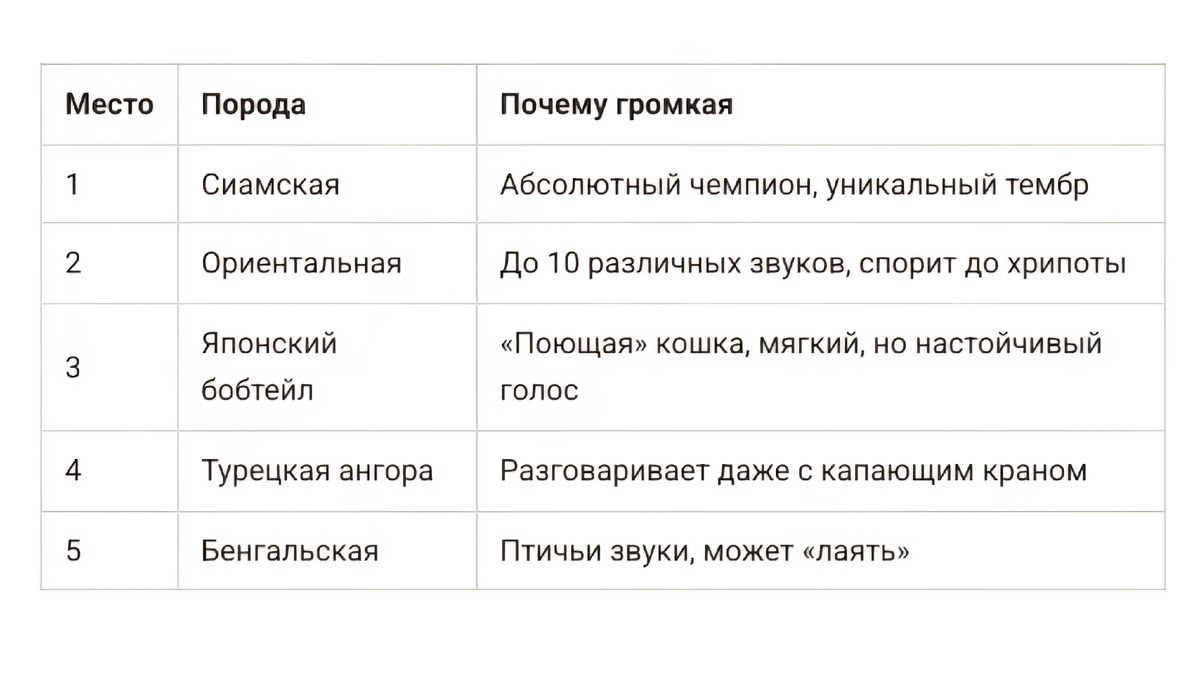Самые разговорчивые и громкие породы кошек: топ-5, которым всегда есть что сказать. Сиамская, ориентальная, японский бобтейл, турецкая ангора, бенгальская. Для тех, кто любит диалоги. Читайте в блоге «Жизнь с лапками» 🐱🎤