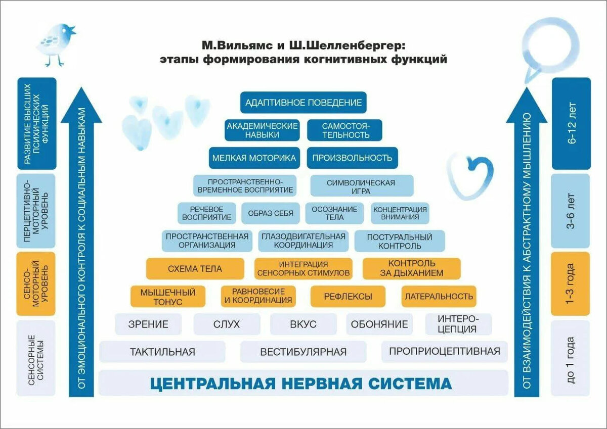 Пирамида обучения Мэри Сью Уильямс и Шерри Шелленбергер