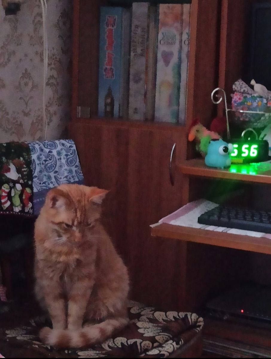 Взгрустнулось... 😾