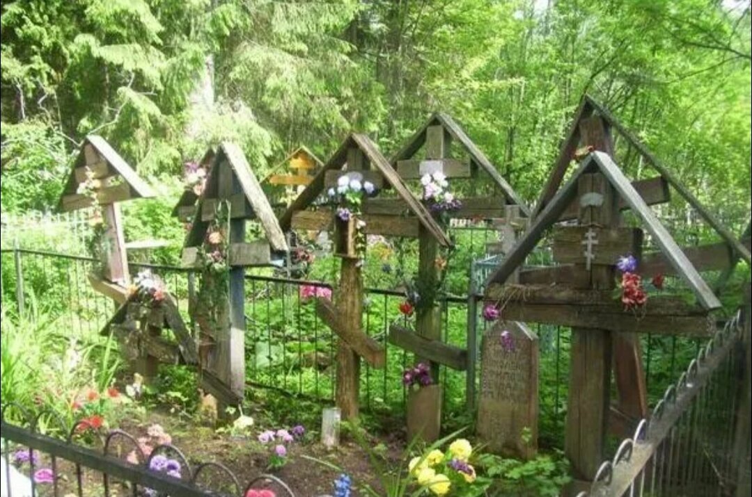 Яндекс Картинки