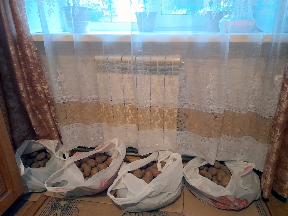 Картошка прогревается 