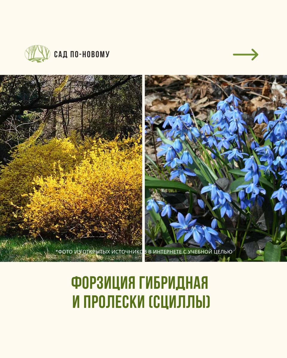 Листайте галерею по стрелочке вправо