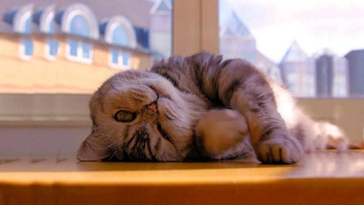 источник Яндекс-картинки